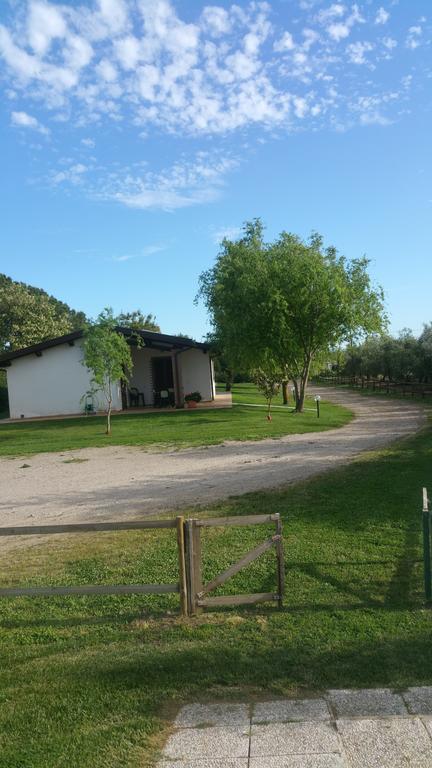 Agriturismo Arcobaleno Bagno Roselle Exterior photo